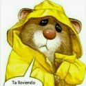 Marii