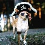BA_Pirate