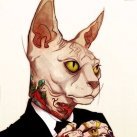 mrgaty