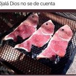 Pipo3
