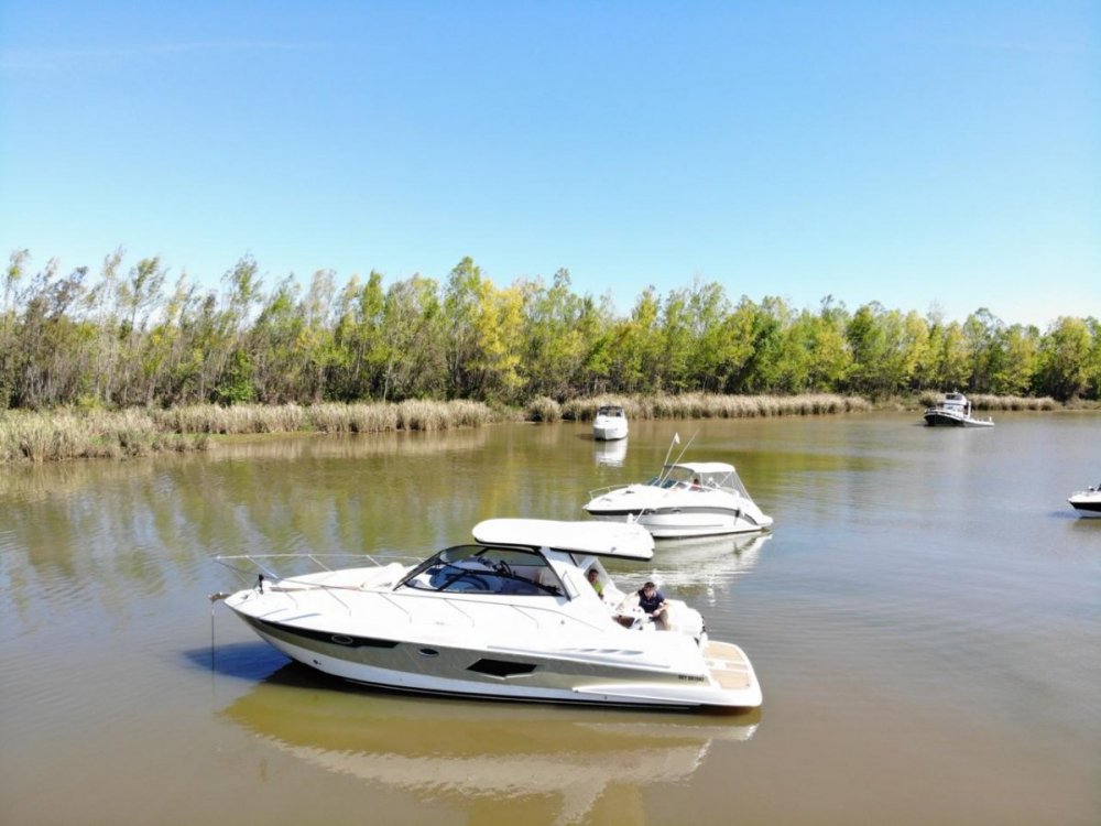 WhatsApp Image 2019-07-23 at 15.56.16.jpeg