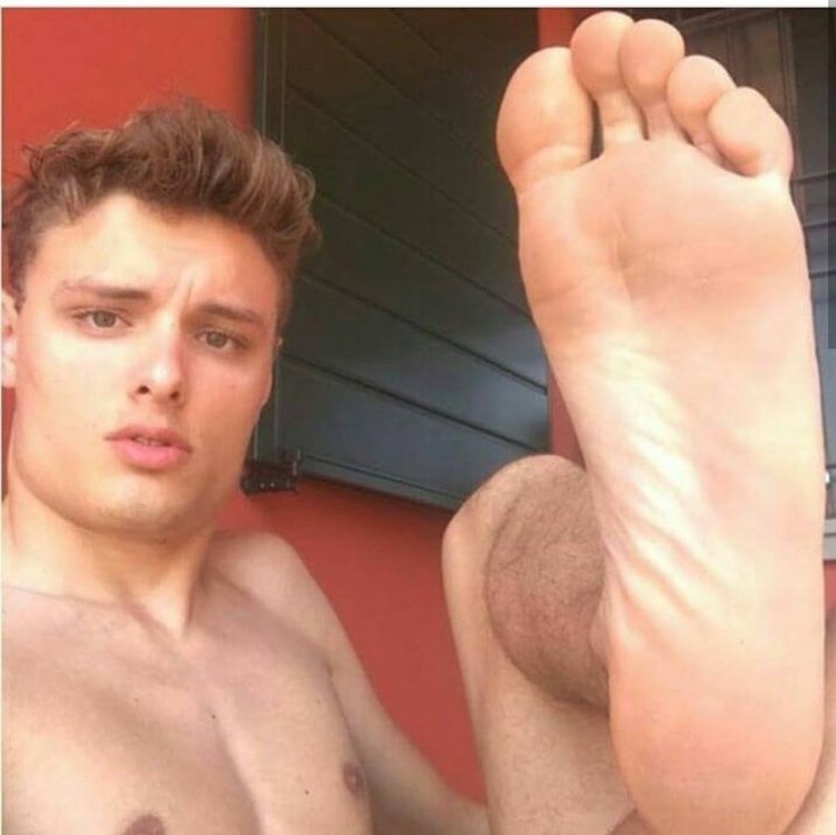 ¡A lamer los pies de su Capataz, perros despreciables!.jpg