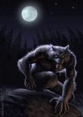 thewolf2016