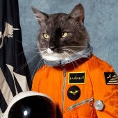 Spacecat