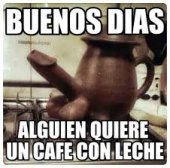 Pipo3374