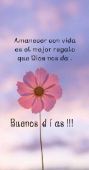 jlced