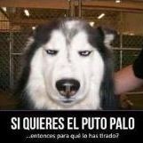 nosequemas